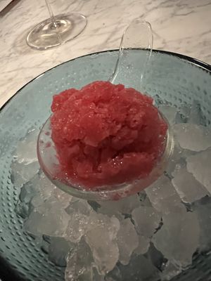 Palate cleanser  at Maiden: Fine Plants & Spirits in Fort Worth