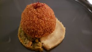 Araccini at Maiden: Fine Plants & Spirits in Fort Worth