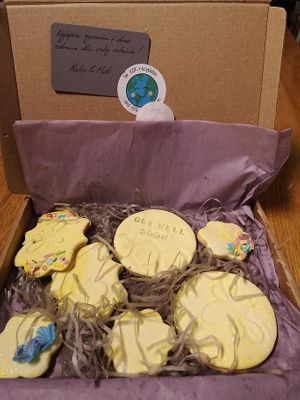  at A Vegan Affair in Cramlington