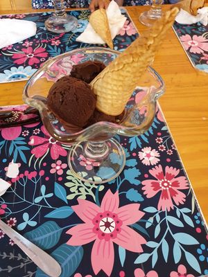 Vegan chocolate icecream!!!! at Vegan Bunker in Santiago