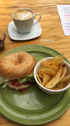  #Veganuary at Germina Cafetería in Mexico City