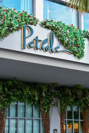  at Petiole Cafe in Janabiyah