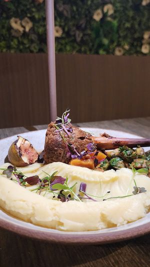 Braised Lamb Shank with Winter Fruits at Petiole Cafe in Janabiyah