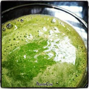 Green Garden Booster Smoothie at Garden Grill Cafe in Wichita