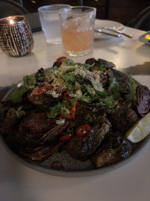 Soy Brussels   at Secco in Hamilton