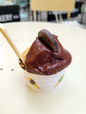 Vegan gelato at Venchi Chocolate & Gelato Columbus Circle  in New York City