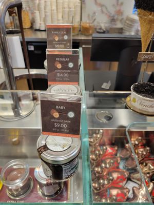 Vegan option at Venchi Chocolate & Gelato Columbus Circle  in New York City