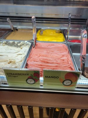 Vegan sorbet both amazing at Venchi Chocolate & Gelato Columbus Circle  in New York City