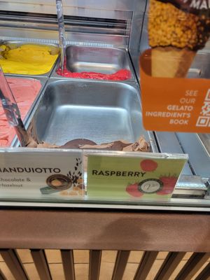 Raspberry sorbet so good! at Venchi Chocolate & Gelato Columbus Circle  in New York City