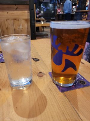 Soda Water and Golden Pale Ale at The Australia in Porthmadog