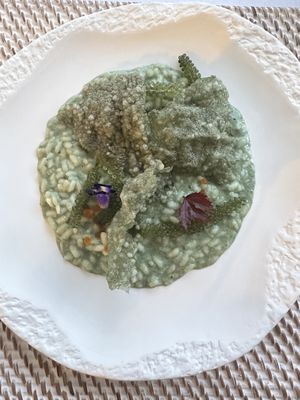 The most tasty Parmesan , Spirulina risotto   at The Seasons Restaurant in Takua Thung