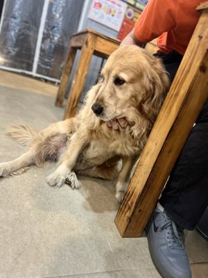   at Andee Sapa Restaurant - Buffet Grill Hotpot & Vegan Food in Lao Cai