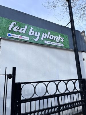   at Fed By Plants in South East London