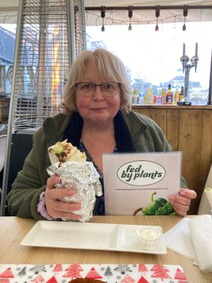 Oriental grilled chick’n wrap with black beans and veg   at Fed By Plants in South East London