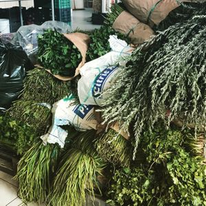 Among the joys of owning a restaurant in Mexico. Abundant, fresh herbs, and beautiful fruits and vegetables. Healthy and delicious vegetarian and vegan cuisine at Asia Caribe  at Asia Caribe in Isla Mujeres