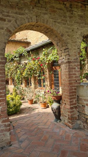  at Osteria Del Vicario in Certaldo