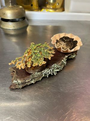  at Osteria Del Vicario in Certaldo