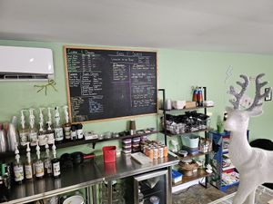 Counter at Honeyduke Confections in Elmira