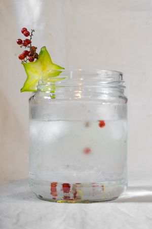 Pistonico, authentic cocktail made with Peruvian pisco, tonic water, pink pepper and starfruit at Wasihome in Huanchaco