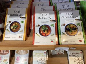 Vegan Thai curry  at Ecomo in Fujisawa