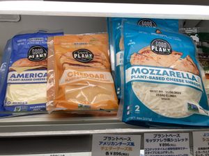 Vegan cheese  at Ecomo in Fujisawa