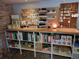 Counter at Stera - Plantenbar in Bruges