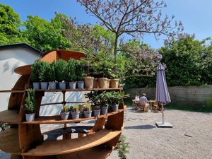 Terrace at Stera - Plantenbar in Bruges