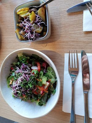 Salad & fried potatos at Be Bio Hotel in Tonning