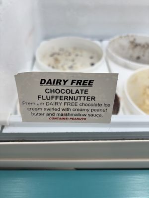 Assuming not vegan because of the marshmallow  at Jubie's Creamery in Fairborn