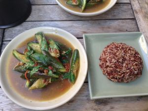 Anchan Vegetarian, Chiang Mai - miso eggplant dish with brown rice at Anchan Vegetarian Restaurant in Chiang Mai