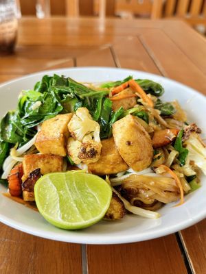 Pad see ew thin rice noodles (120 THB)  at Anchan Vegetarian Restaurant in Chiang Mai