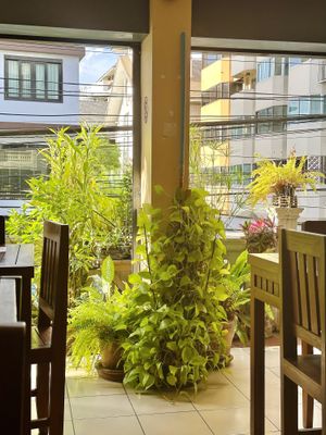   at Anchan Vegetarian Restaurant in Chiang Mai