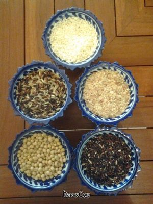 Sticky rice white and black, soybeans, mountain rice and 3 coloured rice. All organic and delicious. at Anchan Vegetarian Restaurant in Chiang Mai