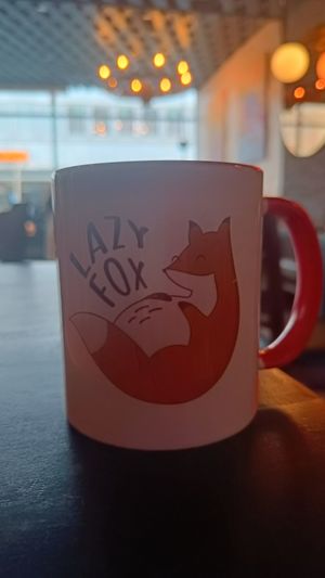  at Lazy Fox in Helsinki
