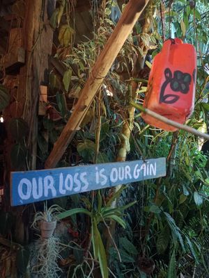  at Black Stone Cafe in Khao Sok