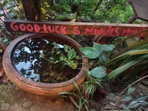  at Black Stone Cafe in Khao Sok