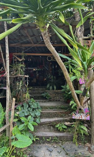   at Black Stone Cafe in Khao Sok