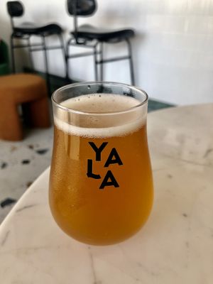 Mango passionfruit   at Yala Kombucha in Abu Dhabi