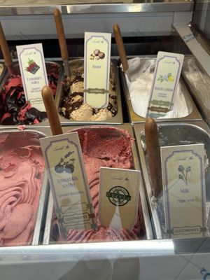 Options (see the ones that say vegan)  at Levendula Fagylaltozó in Szentendre