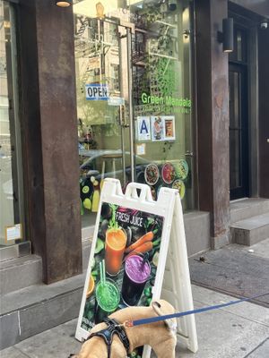   at Green Mandala in New York City