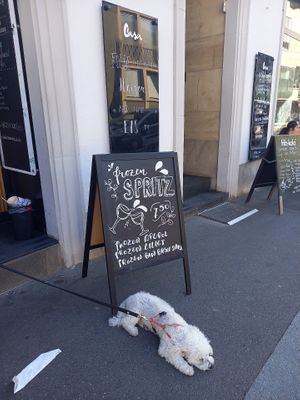  at Das Casa in Wurzburg