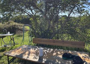   at Algarvegan Hummus Bar in Vila Do Bispo