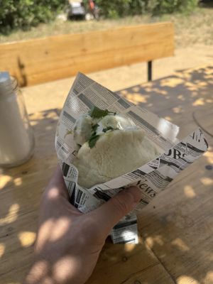   at Algarvegan Hummus Bar in Vila Do Bispo