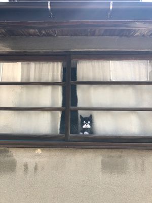  at Bugoro All Vegan in Fukuoka