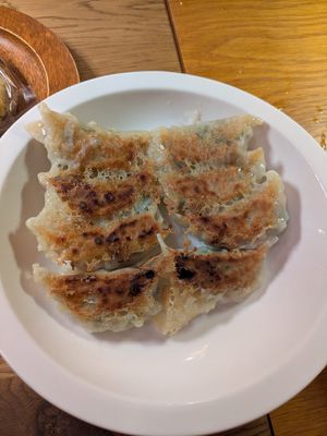Gyozas at Bugoro All Vegan in Fukuoka