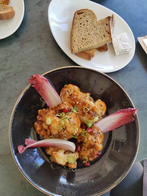  at Villa Ockenburgh in The Hague