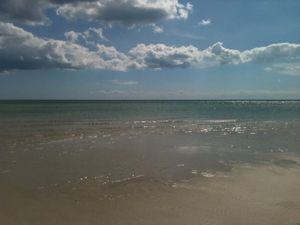 Seaford at New Harvest Organic Greengrocer in Seaford