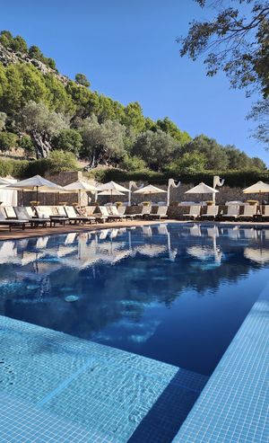 .  at 3\65 Restaurant - Son Brull in Mallorca