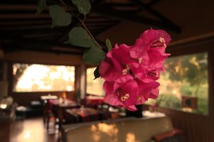 The dining room at Centro Tinkuy - Gracias a la Vida Association in Sintra
