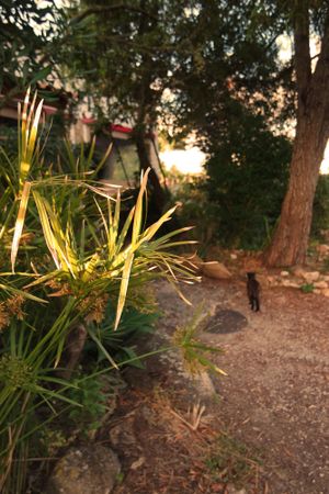 Outside at Centro Tinkuy - Gracias a la Vida Association in Sintra
